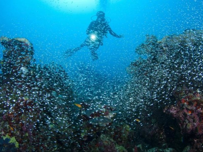 Park Hyatt Maldives Hadahaa 136248