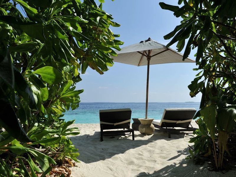 Park Hyatt Maldives Hadahaa 136256