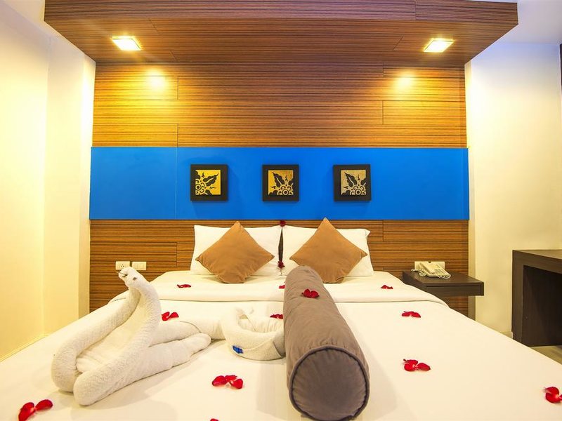 Patong Holiday 220264