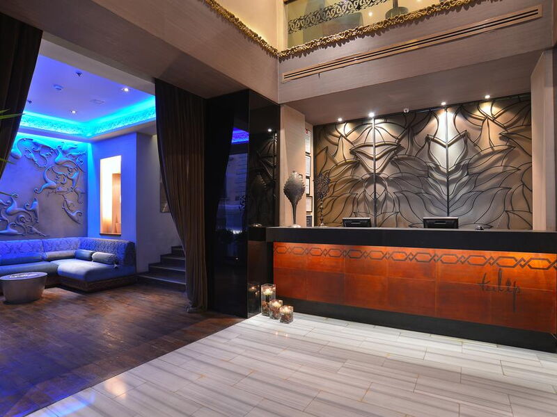 Pera Tulip Hotel (ех 244398