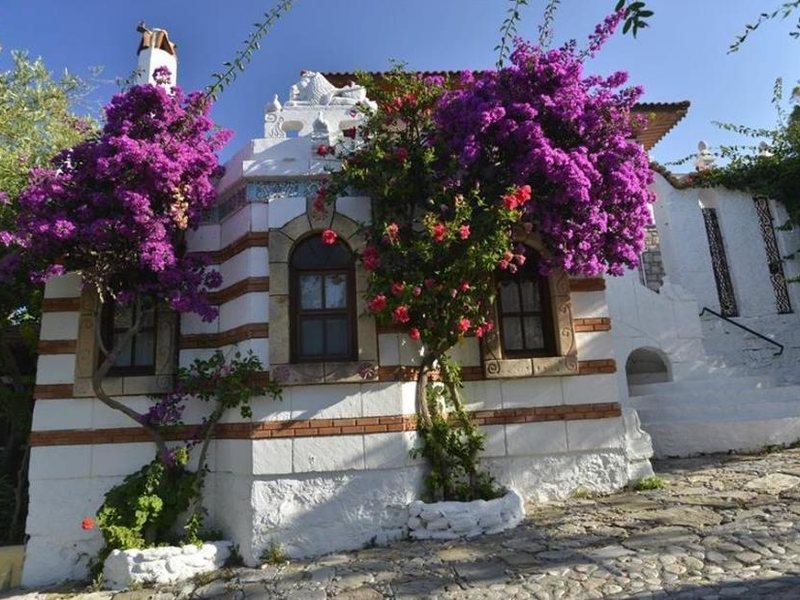 Perili Bay Resort 190677