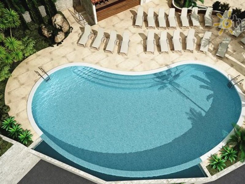 Perla Adriatica 308479