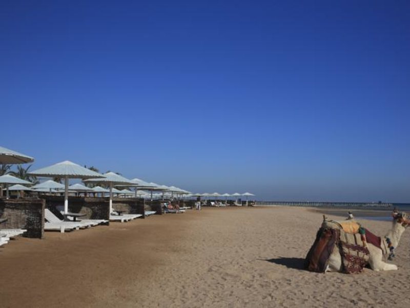 Pharaoh Azur Resort (ex 128730