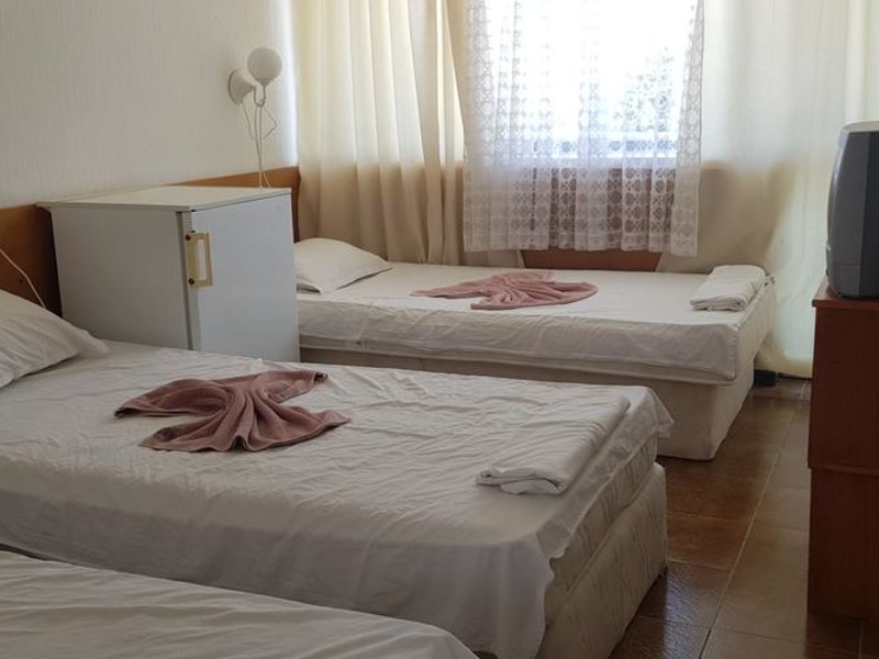 Phoenix Hotel  310614