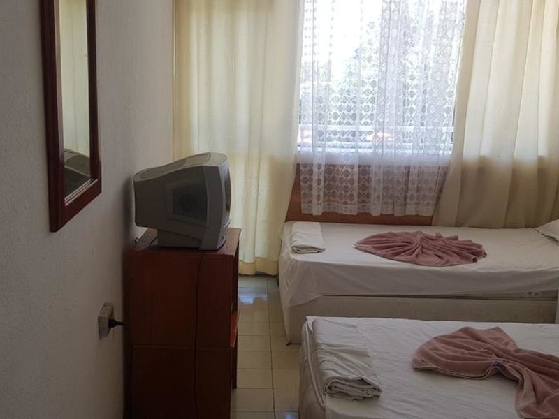 Phoenix Hotel  310618