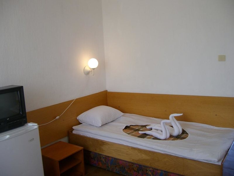 Phoenix Hotel  310625