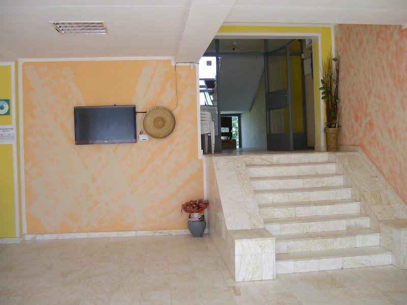 Phoenix Hotel  310627