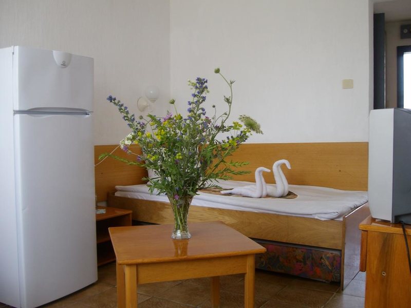 Phoenix Hotel  310629