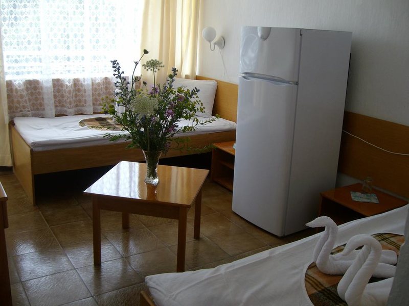 Phoenix Hotel  310630