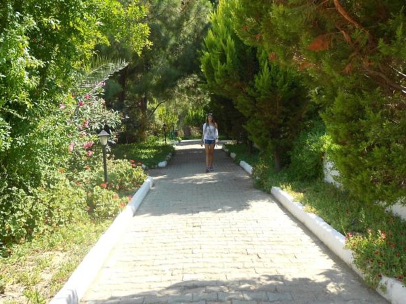 Pigale Family Club (ex 161322