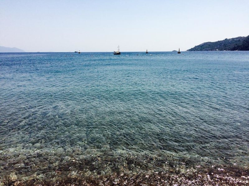 Pine Beach Boutique Hotel Turunç 203863