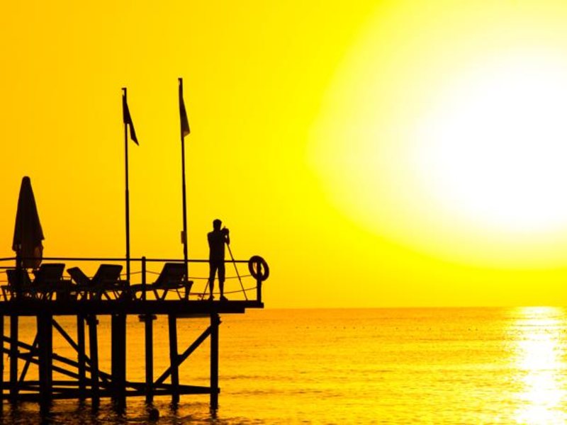 Pine House Hotel 99414