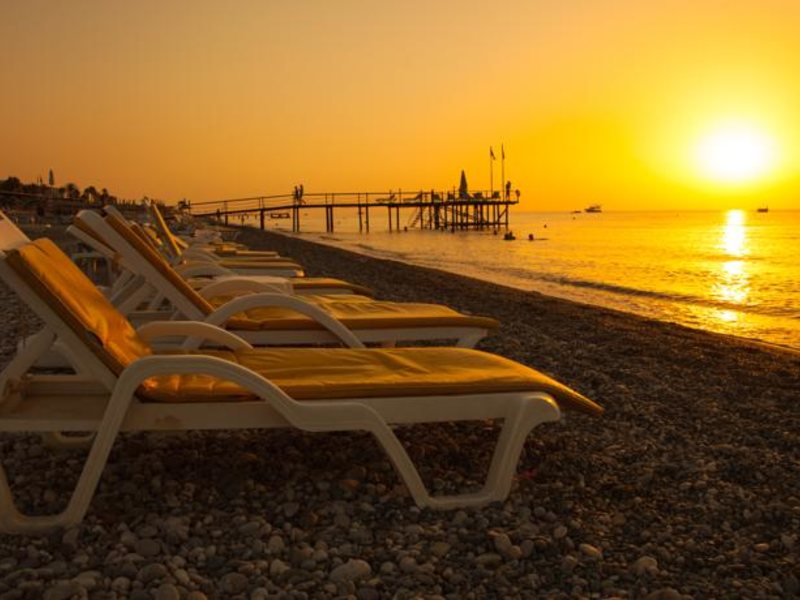 Pine House Hotel 99416