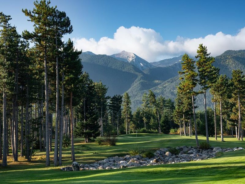 Pirin Golf Hotel & Spa 313060