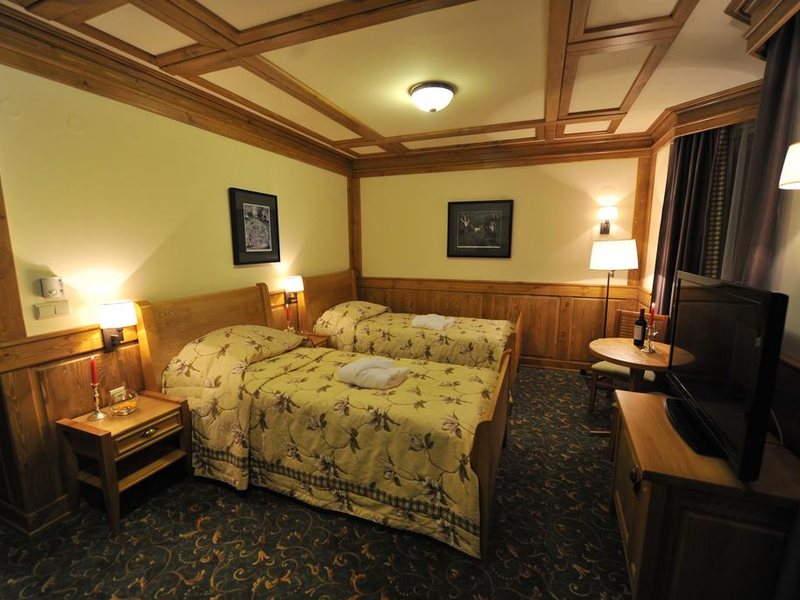 Pirin Golf Hotel & Spa 313063