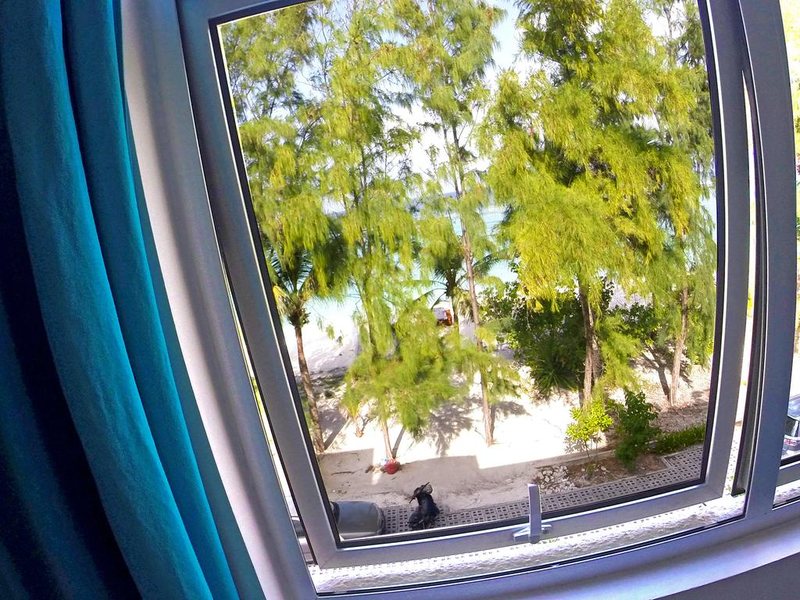 Planktons Beach 239963