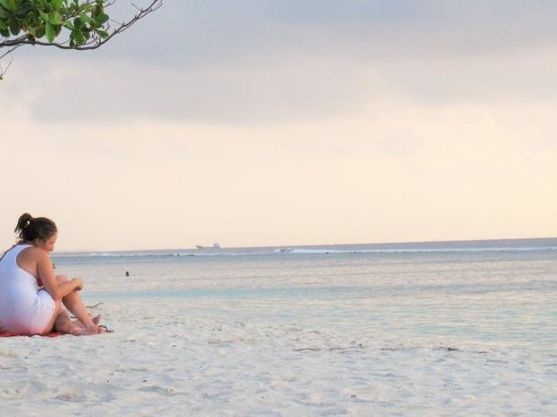 Planktons Beach 239971