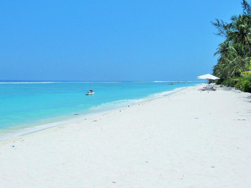 Planktons Beach 239974