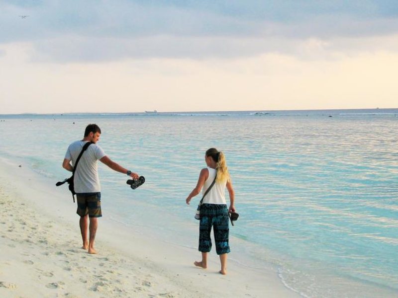 Planktons Beach 239975