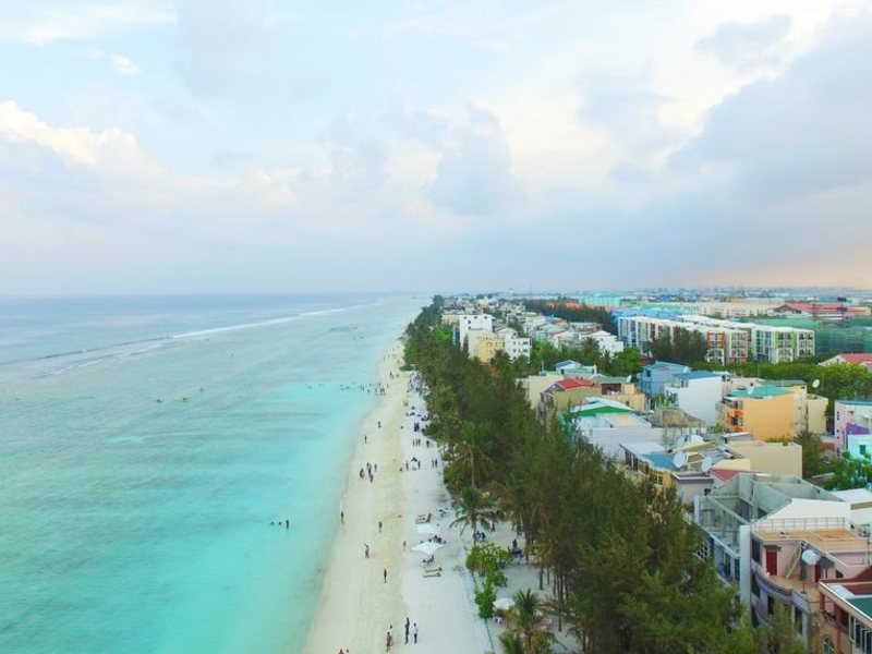 Planktons Beach 239978