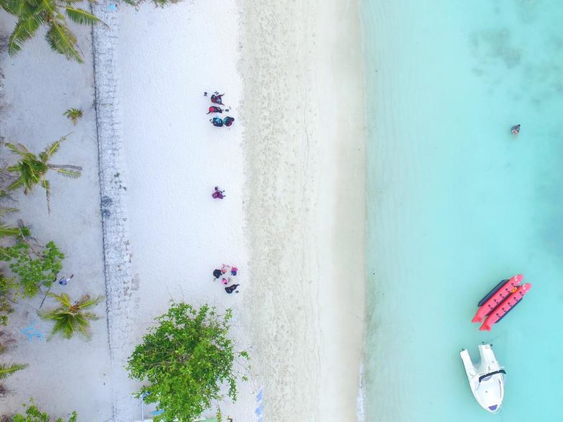 Planktons Beach 239979