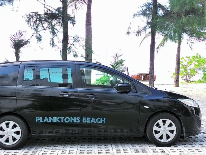 Planktons Beach 239982