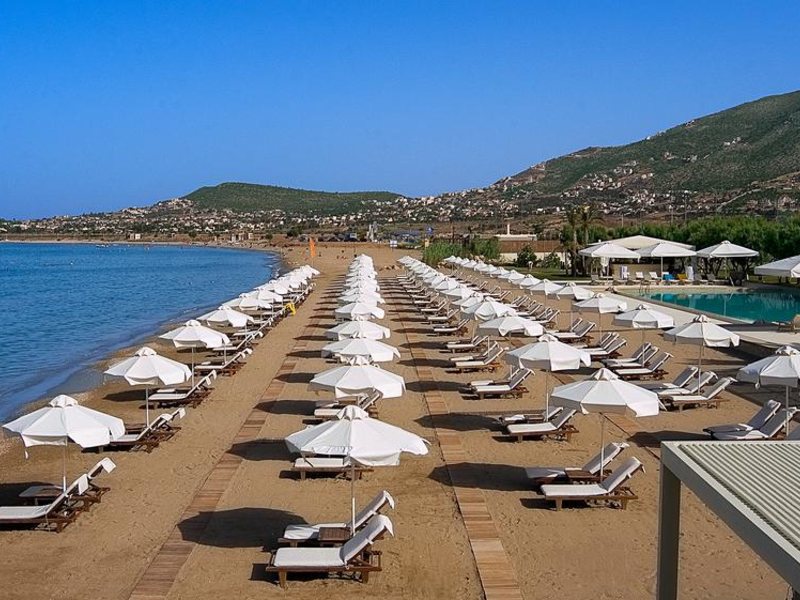 Plaza Resort Hotel 219750