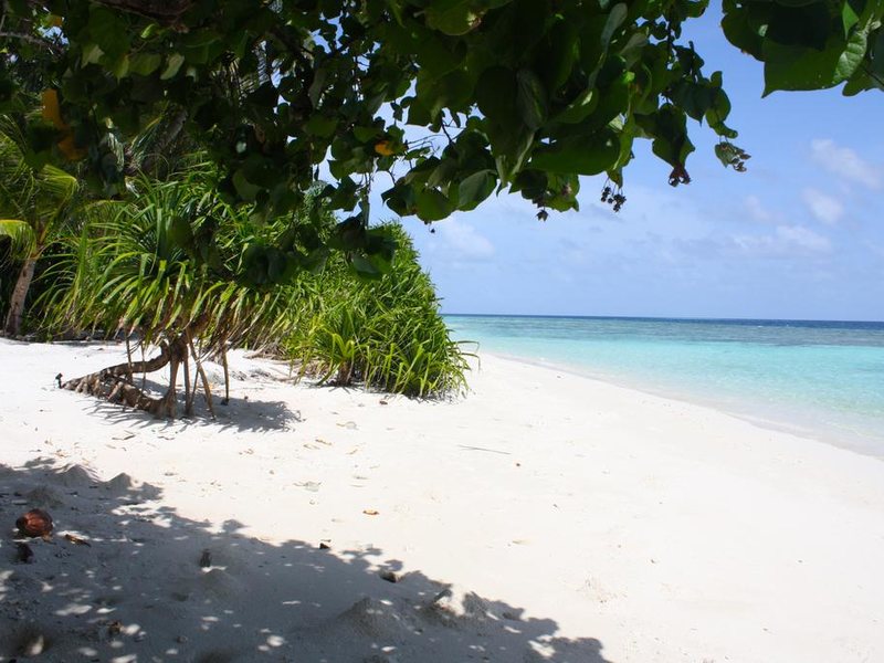 Plumeria Maldives  (ex 227974