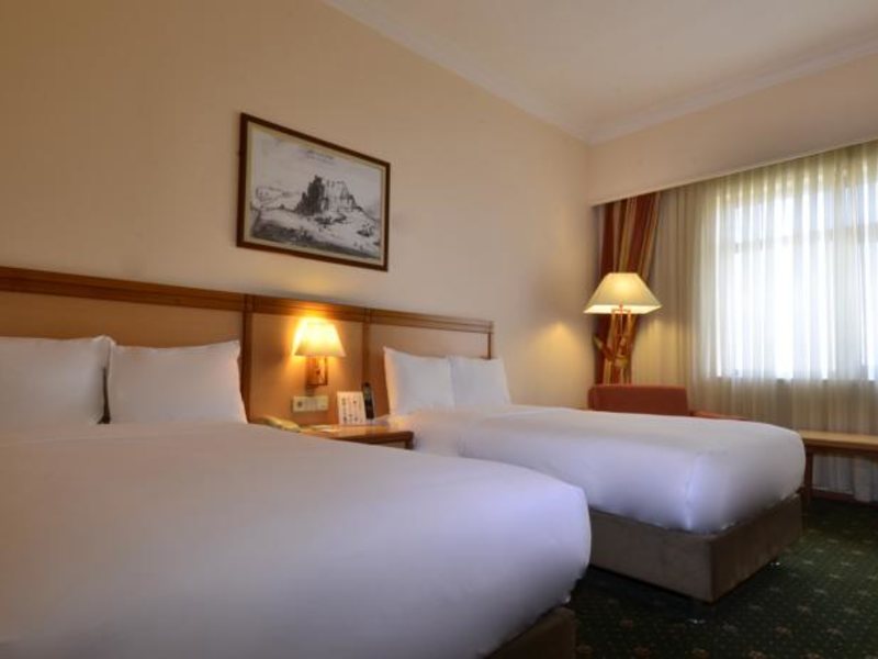 Polat Renaissance Erzurum Hotel 99477