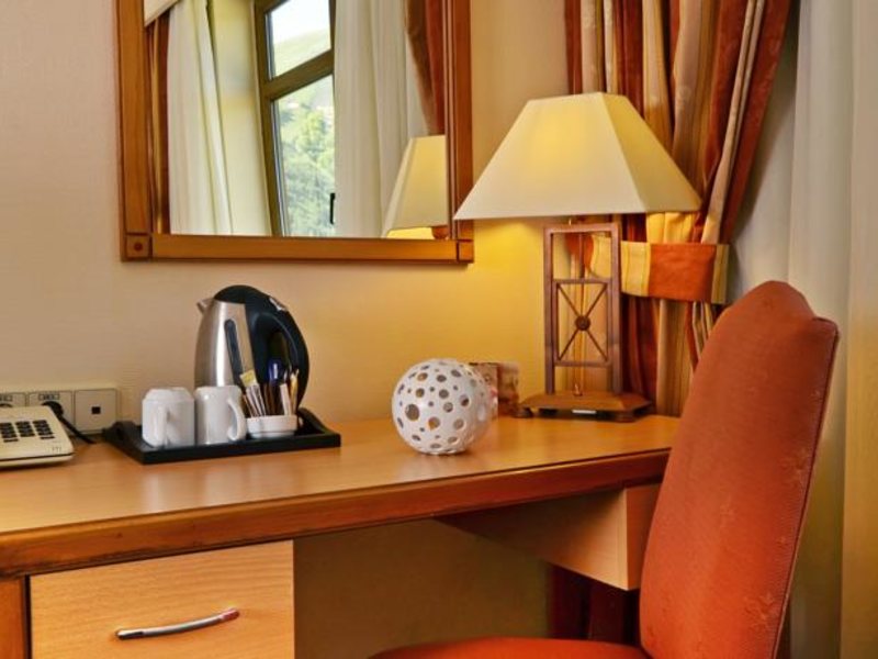 Polat Renaissance Erzurum Hotel 99478