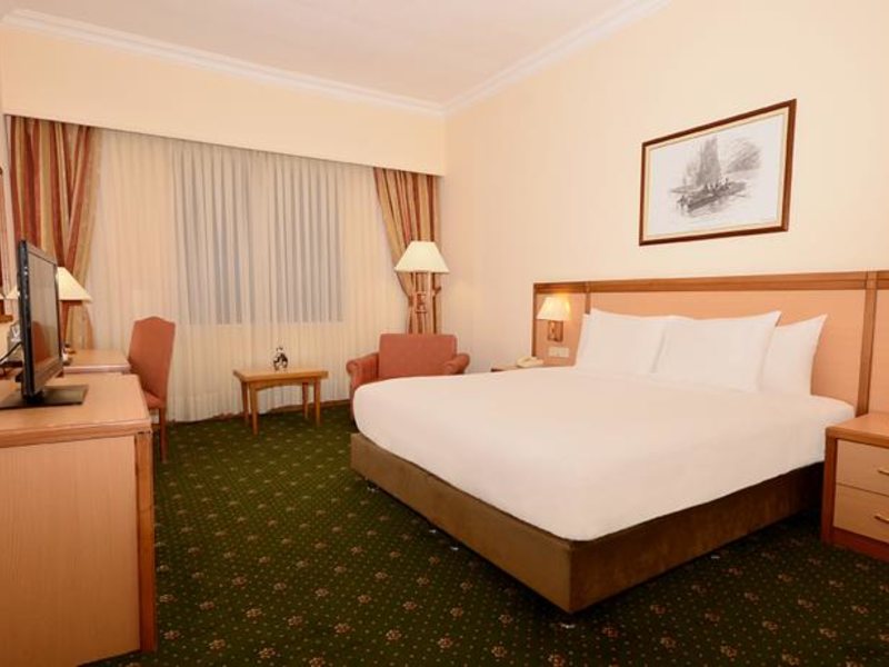 Polat Renaissance Erzurum Hotel 99479