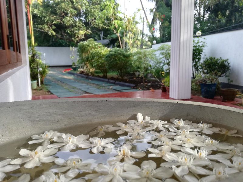 Polina Resort Hikkaduwa 195993