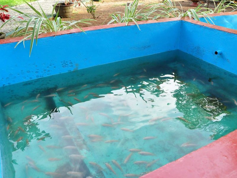 Polina Resort Hikkaduwa 196007