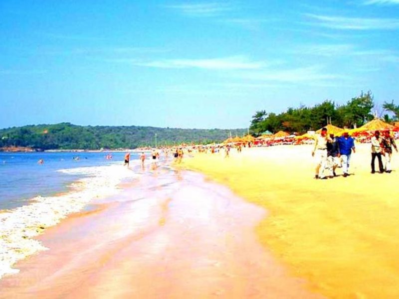 Poonam Village Resort	 114631