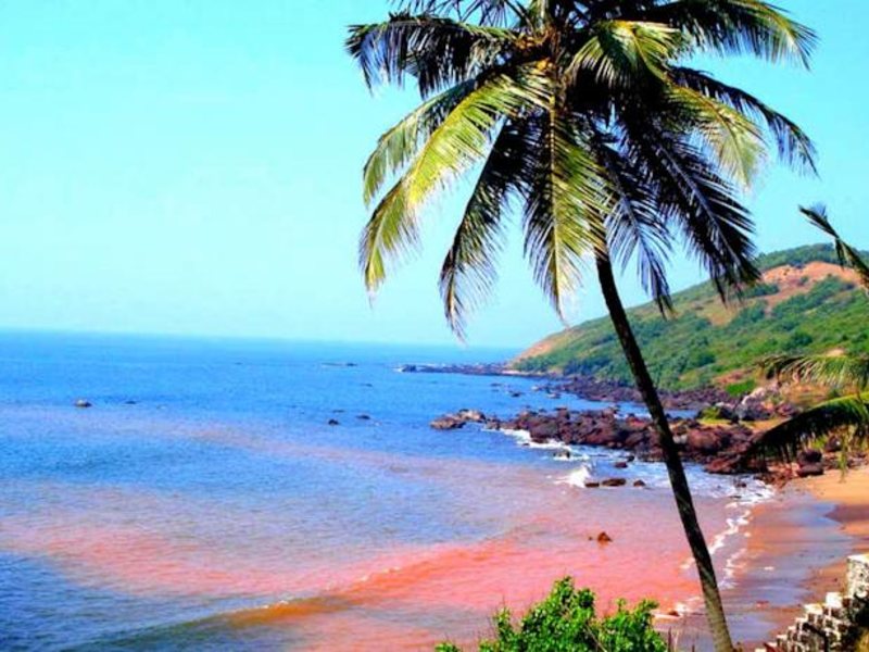 Poonam Village Resort	 114632