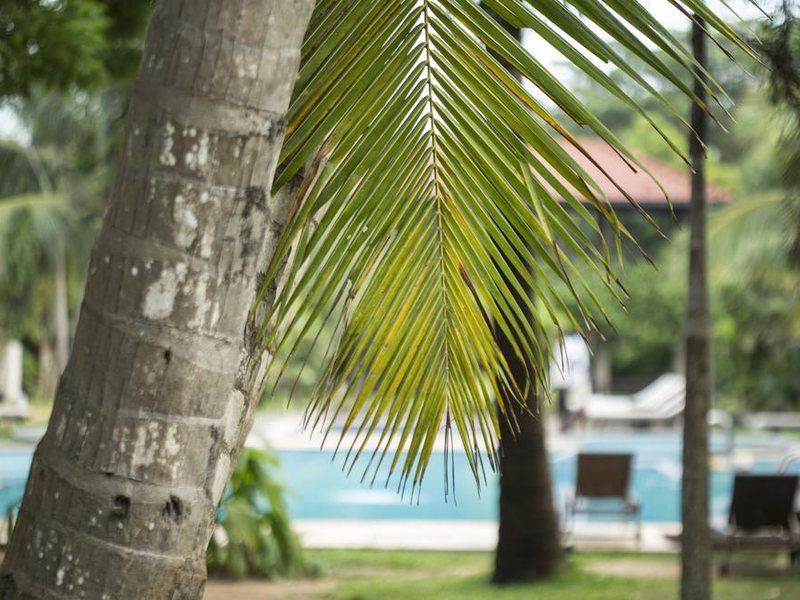 Portofino Resort Tangalle 110945