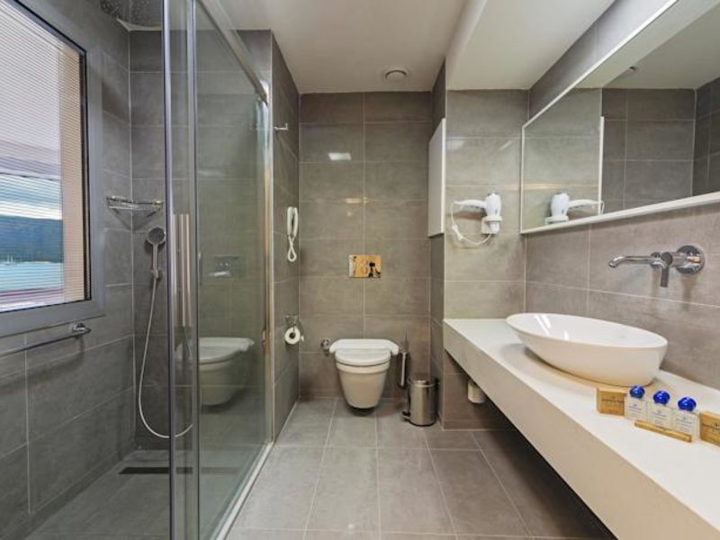 Poseidon Hotel 99575