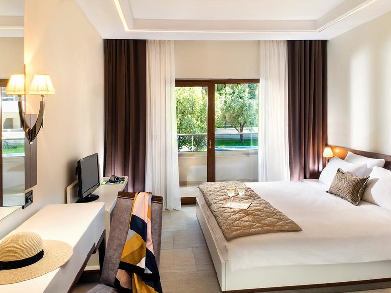 Potidea Palace Hotel 251759