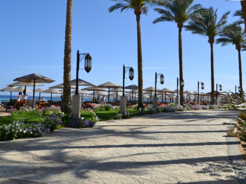 Prima Life Makadi 126984