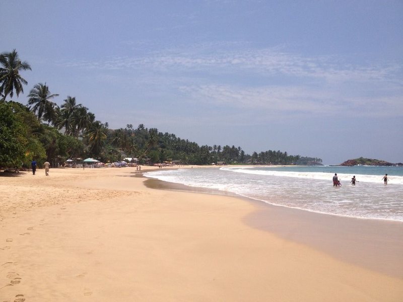 Prime Time Hotel 131463