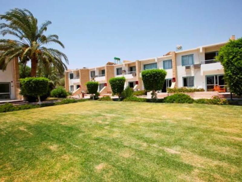 Princess Club 127006