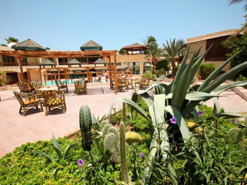 Princess Club 127007