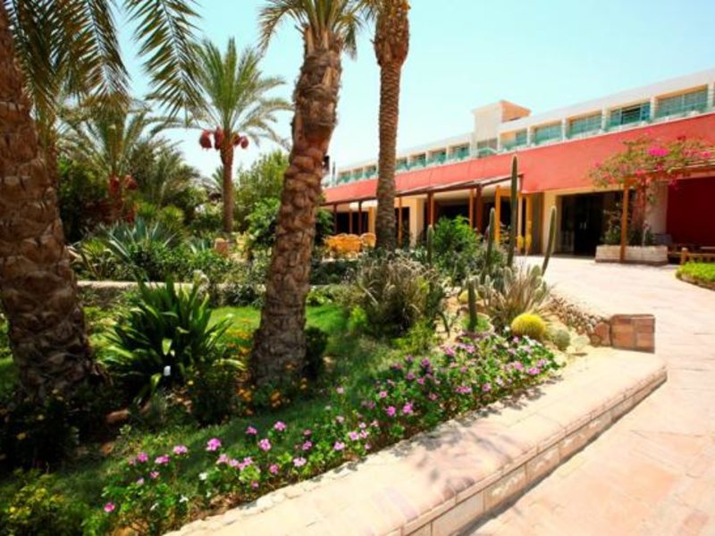 Princess Club 127008