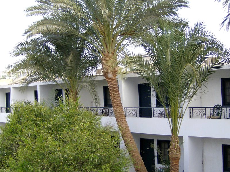 Princess Palace 127034