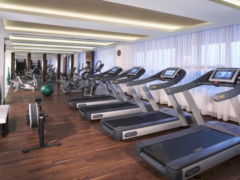 Pullman Dubai Creek City Centre (ех 45841