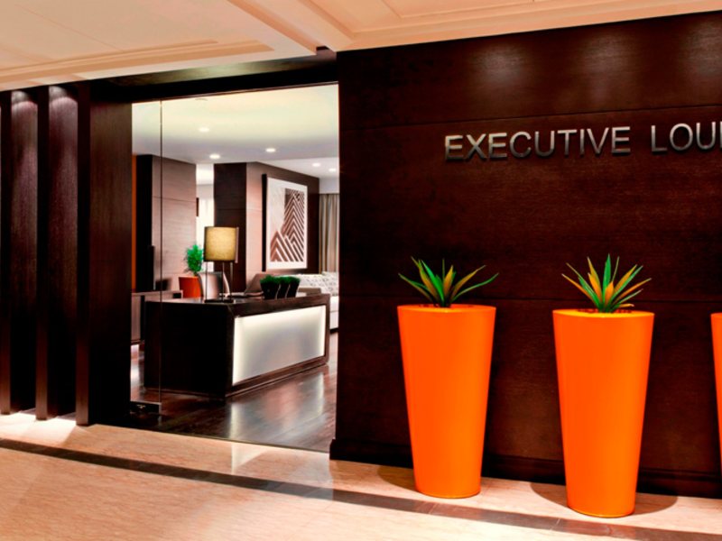 Pullman Dubai Creek City Centre (ех 45849