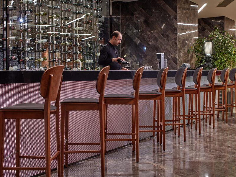 Pullman Istanbul Hotel & Convention Center 302316