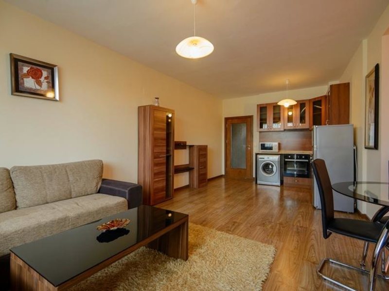 Purple Star Complex  167778