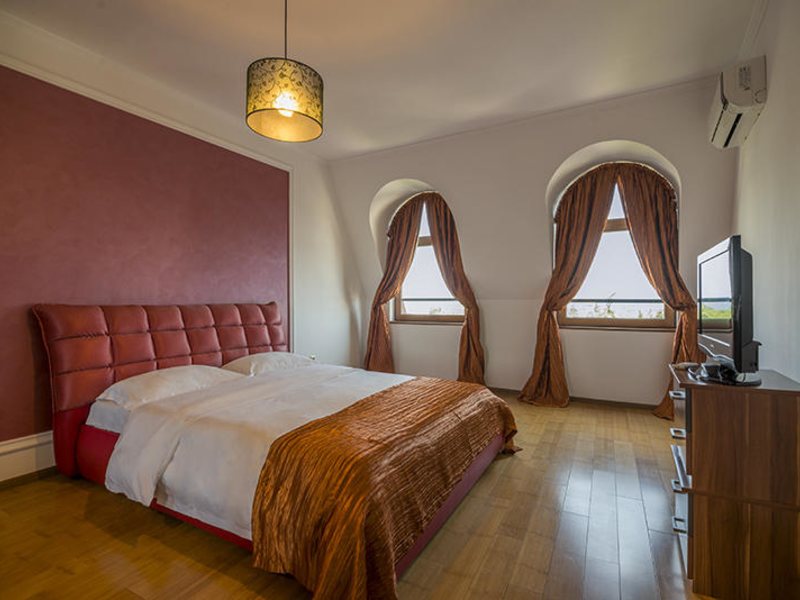 Purple Star Complex  167779