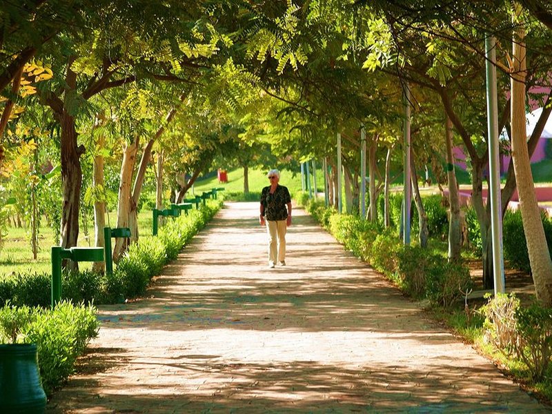 Pyramisa Isis Island Aswan Resort 147506